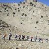 صعود کارکنان و کارگزاران حج و زیارت ایلام به قله مانشت در گرامیداشت حان باختگان منا